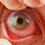 D70Doug