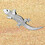 GeoGecko