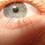 TheOakOfMyEye