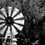 shutterbug796