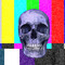 Brainraid