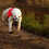 whippeteer