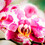 shuttertothink