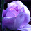 BlueMoonRose