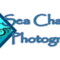 Sea-Change