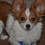 carol29