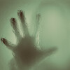 CRose Images
