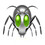 cobweb