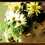 purelydecorative