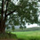 Sahyadri