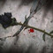 There's a creep, creeping after me by Amorous  Requiem