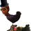 chickenman