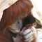 Monkeygirl