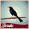 Tordo