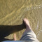 dolphinkist