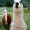 llamallamaloo