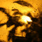hfaulkner