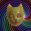 TrippyCat