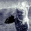 JayLynn Widmark