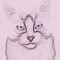 takASHIkat