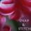 snapandstitch