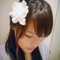 feifishcake