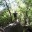 LensBender