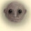boko
