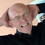 Bob Culshaw
