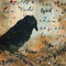 ladycrow4