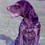 oulgundog