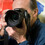 Gerard Rotse