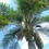 Ilene Clayton