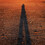 Jeff Barnard