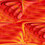 Dareimages