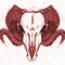 wyvex