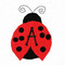 anndesign