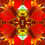 tribalillusions