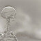 BonesBob