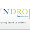 Pindrop  Foundation