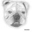 Sally Hartfield