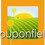 couponfield123