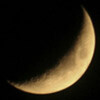 Moonlet