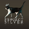 Projectsilver