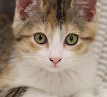Sweet pea by Sazzyshortness