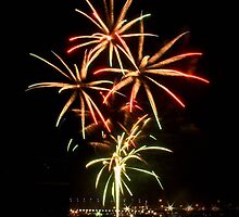 New Years Eve 2010/2011 by squidypoo