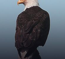 Gradient Eagle by Gail Bridger
