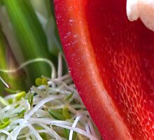 Pepper Abstract 3 by Orla Cahill Photography