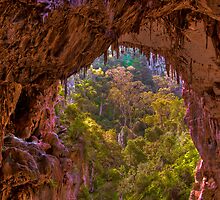Window on the Lost World by Erik Schlogl
