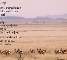 Trop by Rina Greeff